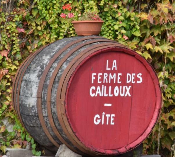 Sassay La Ferme Des Caillouxヴィラ エクステリア 写真